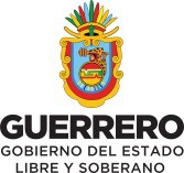 /album/principales-clientes/gobierno-de-estado-de-guerrero-jpg/